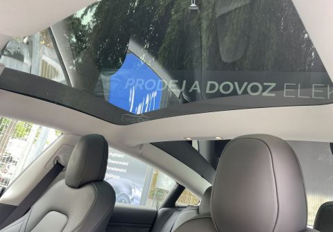 Tesla Model 3 Performance