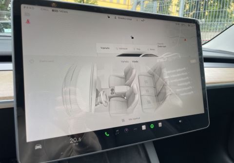 Tesla Model 3 Performance
