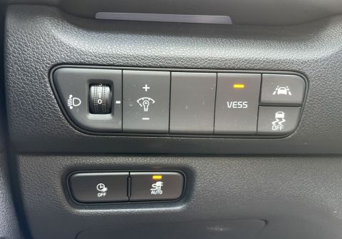 Kia Niro Vision 64 kWh,kamera SoH 96,3%