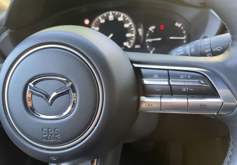 Mazda MX-30 e-Skyactiv / HUD 35,5kWh